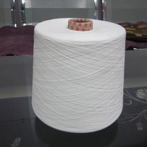 滌綸絲原料 (1)